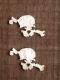 ACRYL SKULL SET